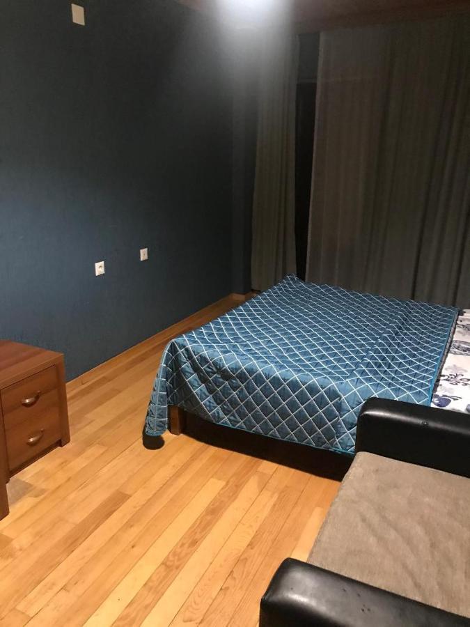 Guesthouse David Zhorzholiani 메스티아 외부 사진