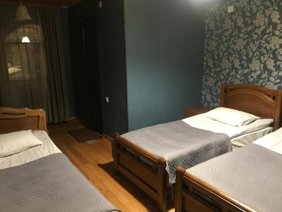 Guesthouse David Zhorzholiani 메스티아 외부 사진