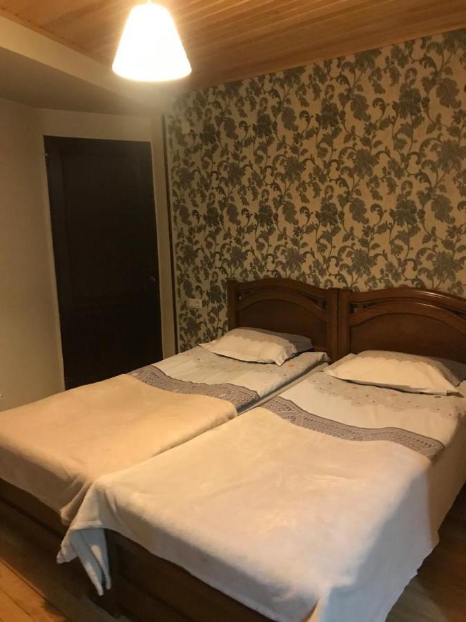 Guesthouse David Zhorzholiani 메스티아 외부 사진